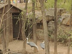 -济南野生动物世界