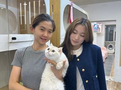 -青奢宠物·青奢猫舍