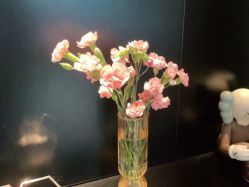 点击看大图 -玛莲朵·海菲秀冰珀科