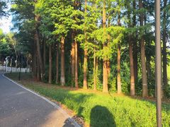-金银湖国家城市湿地公园