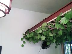 -玉滋補