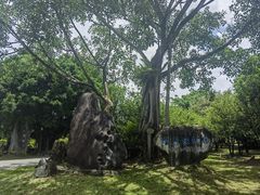 -云南勐巴娜西珍奇园