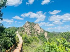 -大岭沟猕猴桃谷风景区