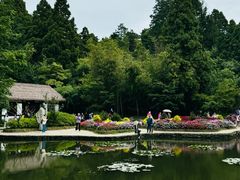 -庐山风景区花径公园