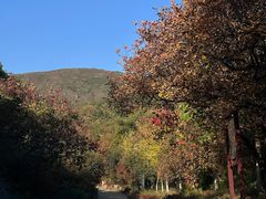 -蟒山国家森林公园-停车场