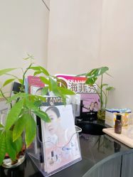 -Fundi张玉珊修身堂·indiba·BTL科技瘦身