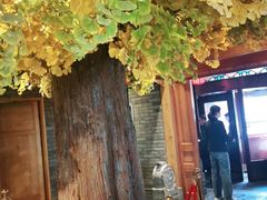 -北平楼·烤鸭·北京菜(牡丹园店)