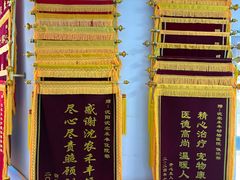 -派美特宠物医院·核磁CT·骨科肿瘤·疑难转诊(沈农禾丰店)