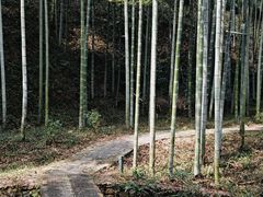 -黄公望隐居地