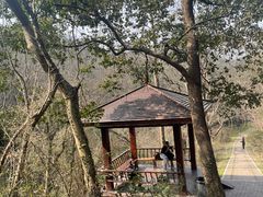 -青龙山国家森林公园