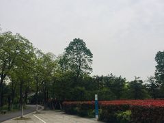 -合肥三国新城遗址公园