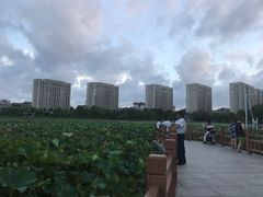 -海天湖公园
