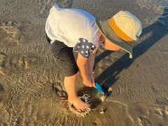 -南汇嘴观海公园