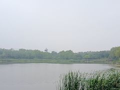 -北坞公园