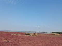 -辽宁团山国家级海洋公园
