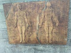 -广州神农草堂中医药博物馆