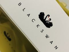 -BLACKSWAN黑天鹅(环球店)
