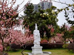 -沙市市中山公园