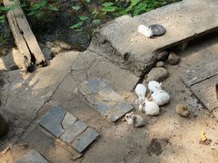 -Chom Cafe and Restaurant