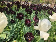 -威尔仕健身(杭州万象城店)