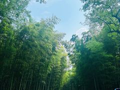 -杭州植物园