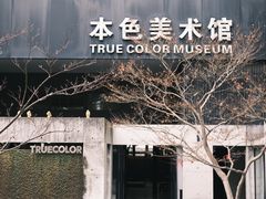 -苏州本色美术馆