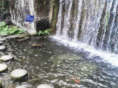 -千岛湖东南湖区