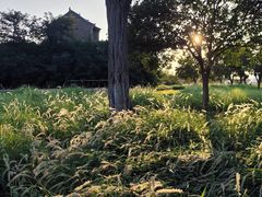 -汉长安城未央宫国家考古遗址公园