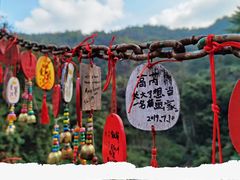 -西双版纳原始森林公园