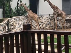 -北京野生动物园