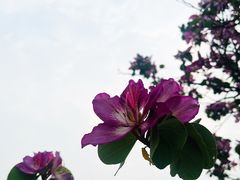 -白石龙音乐公园