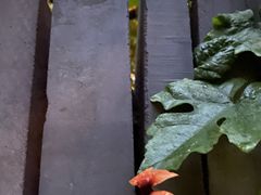 -斯多格书乡(北京大学畅春园店)