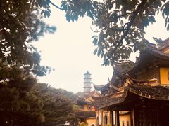 -江心屿景区