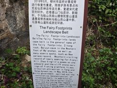 -柳侯公园