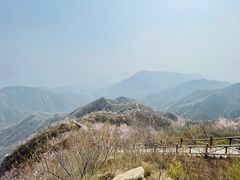 -大岭沟猕猴桃谷风景区