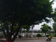 -野菌皇海景野生菌火锅(滨海大道店)