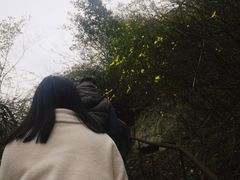 -丰都鬼城名山景区