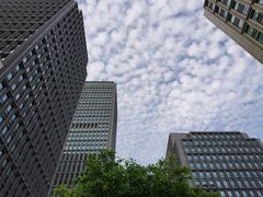 -陆家嘴世纪金融广场