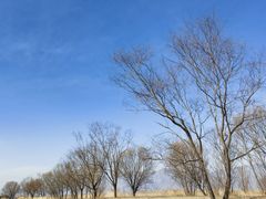 -野鸭湖国家湿地公园