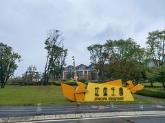 -铁山坪森林公园