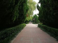 -洛阳市隋唐城遗址植物园