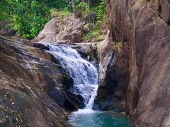 -广州白江湖森林公园