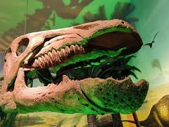 -甘肃地质博物馆