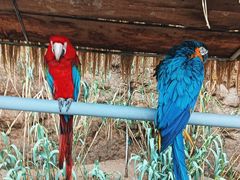 -西霞口神雕山野生动物世界