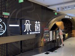 -一朵菌·野生菌探索家火锅(南亚店)