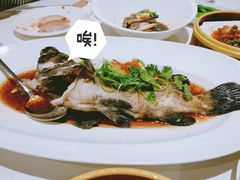 清蒸大龙趸鱼-唐宫海鲜舫