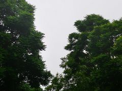 -爱情山风景区