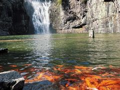 -刘伯温故里景区百丈漈