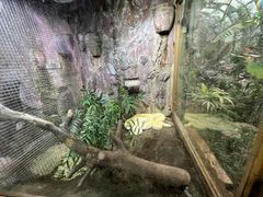 -上海大自然野生昆虫馆