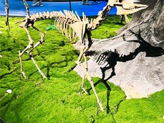 -安徽省地质博物馆